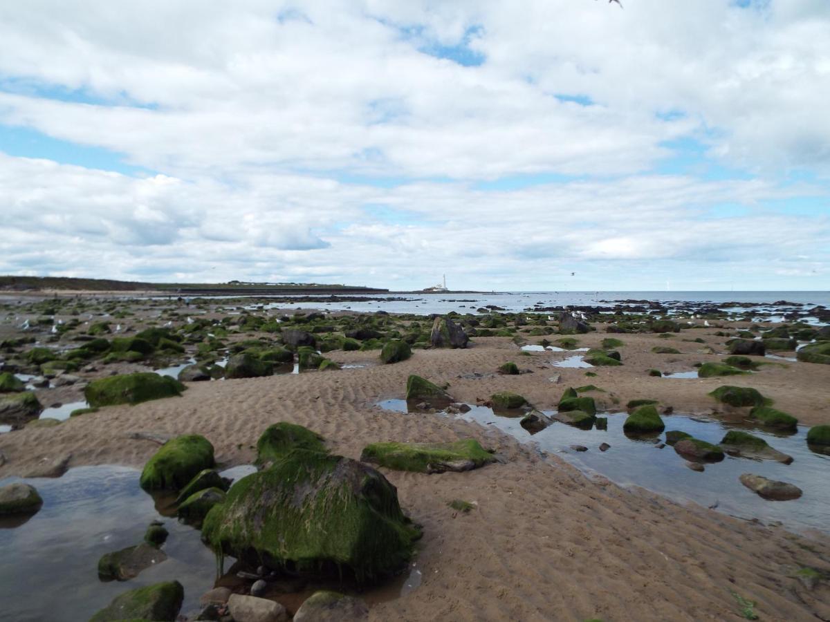 Boquhanran Caravan, Whitley Bay Hartley Bagian luar foto